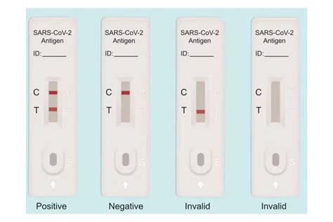 test seal labs covid test|At.